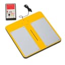 ACL Staticide Inc ACL 780