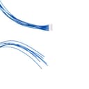 Allied Vision, Inc. 12319