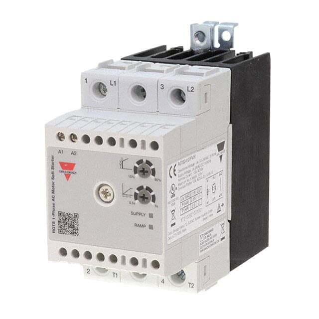 Carlo Gavazzi Inc. RGTS24120GV00