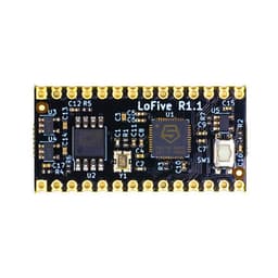 LOFIVE-R1GroupGets LLC