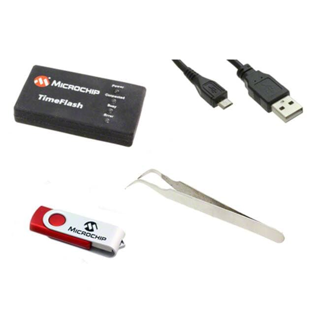 Microchip DSC-TIMEFLASH