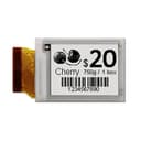 Pervasive Displays E2144CS021