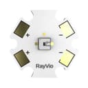 RayVio Corporation RVXE-280-SB-071504