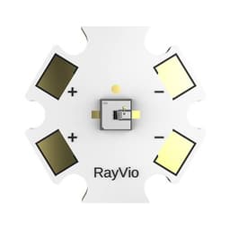 RVXE-280-SB-071504RayVio Corporation