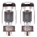 TubeDepot GROUPING_PAIR_TS-KT66