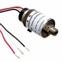 Whitman Controls, LLC J205G-10S-C12L-DIS