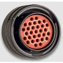 RMS Connectors MS24266R24B30PN