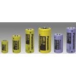 PANASONIC BR-2/3AE2SPN