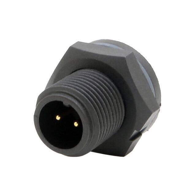 Chogori Technologies Inc. 21002515-01